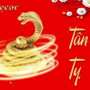 quý tỵ sinh năm bao nhiêu