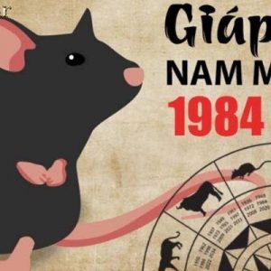 Sinh năm 84 mệnh gì