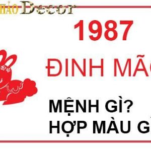1987 bao nhiêu tuổi