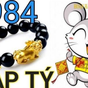 Sinh Năm 1984 Bao Nhiêu Tuổi