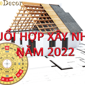 sinh-nam-1988-lam-nha-nam-2022